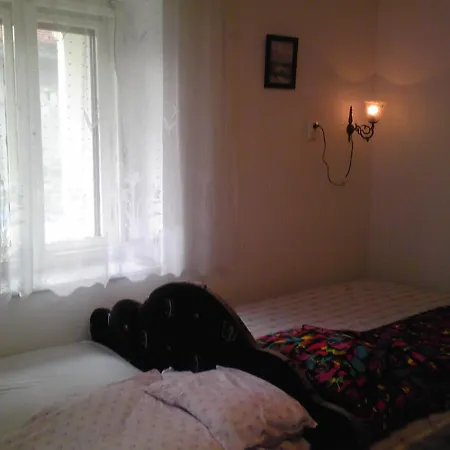 Vintage House Homestay *