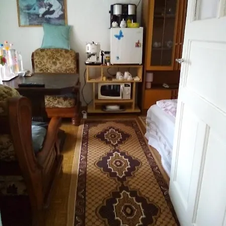 Homestay Vintage House *