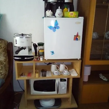 Homestay Vintage House *
