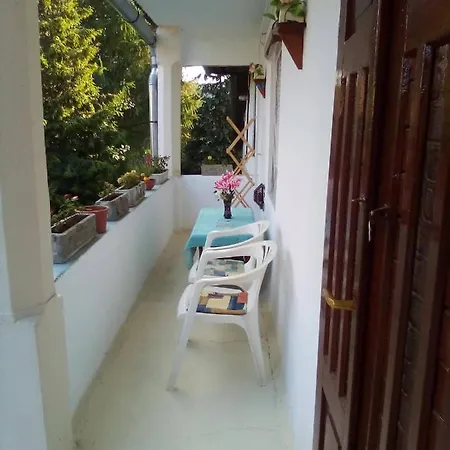 Vintage House Homestay