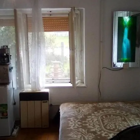 Homestay Vintage House