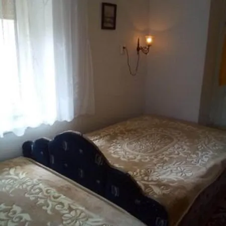 Vintage House Homestay Hollohaza