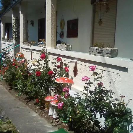 Homestay Vintage House