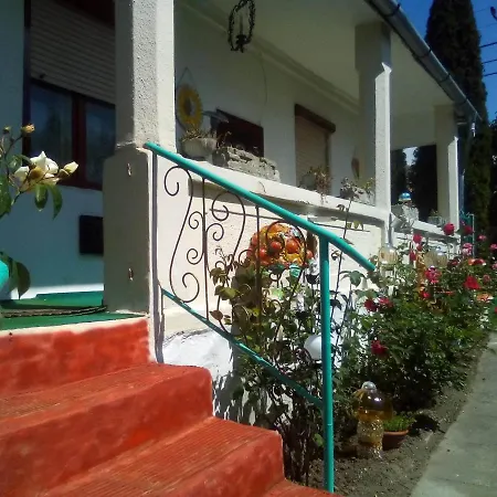 Vintage House *