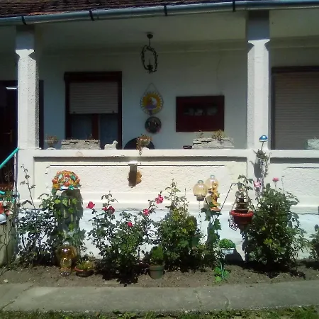 Homestay Vintage House
