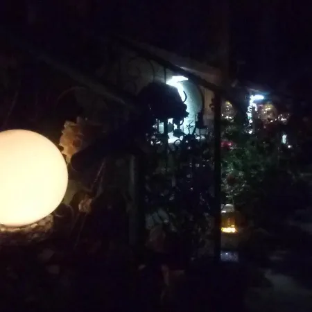 Homestay Vintage House *